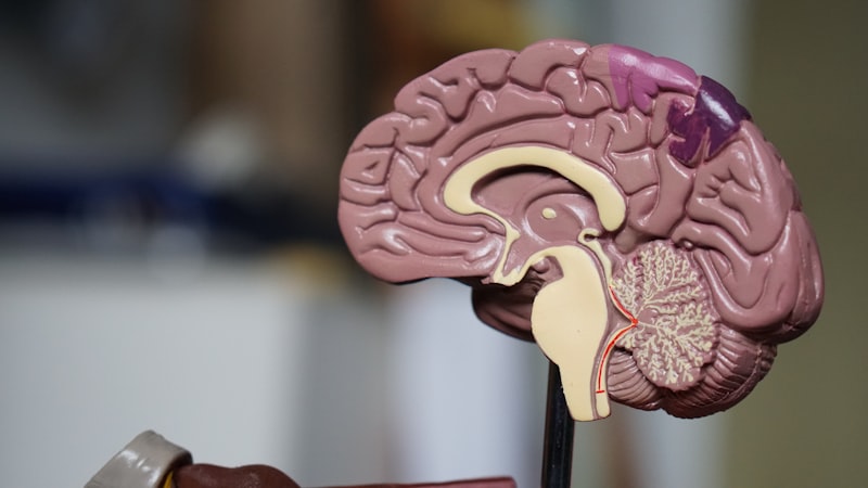 Parkinson's Diagnosis with Random Forests