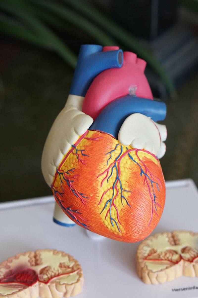Pneumonia (Lung Opacity) Detection